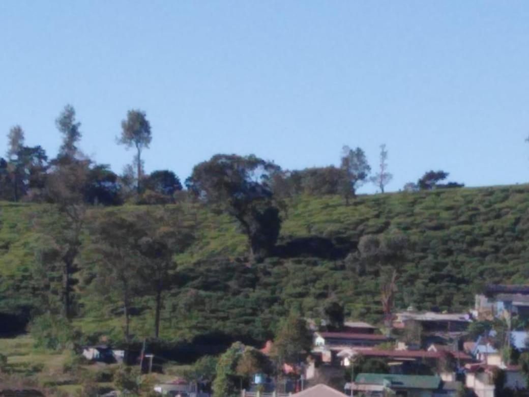 Frosty Heaven Guest House Nuwara Eliya Exterior foto